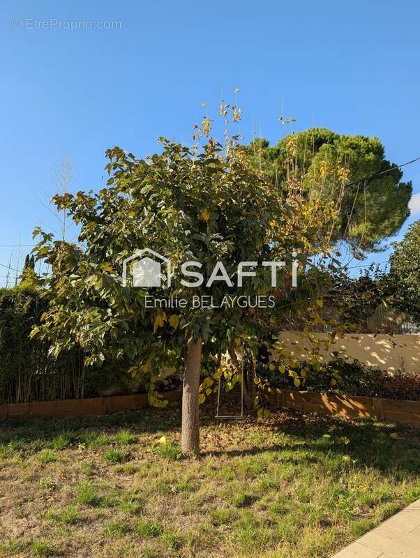 Photo 9 - Maison à CANET