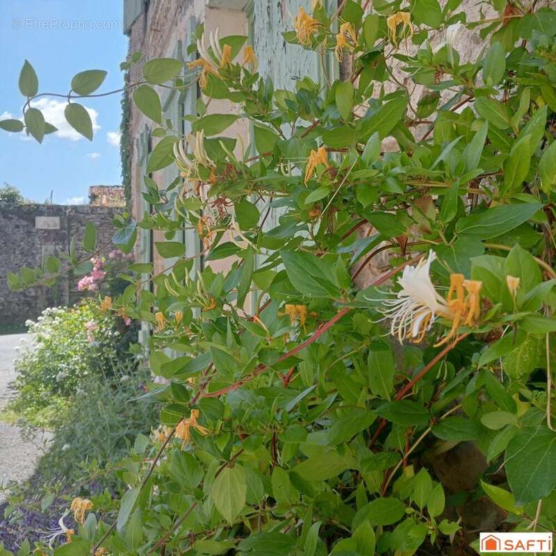 Photo 7 - Maison à VOUVANT