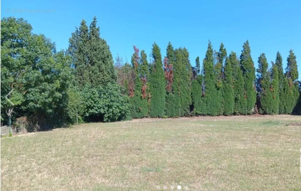 Terrain à LABASTIDE-D'ANJOU