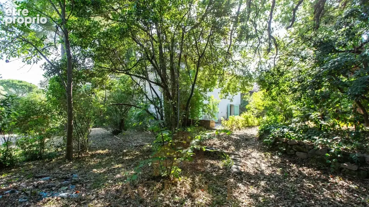 Antibes Suquette Maison avec terrain 2100m2– Authentique propriété en pierre – Environnement privilégié – Fort potentiel – Pisci - photo 12