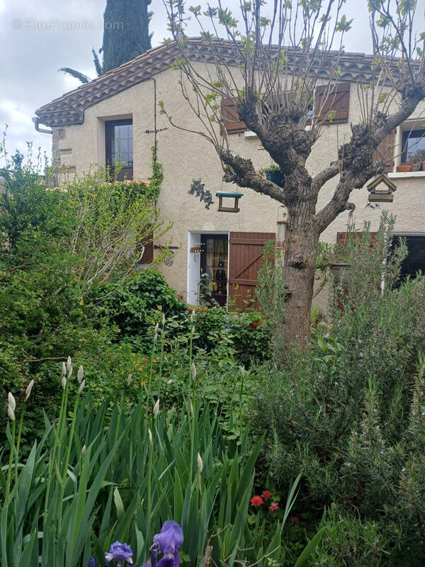 Maison à MOUTHOUMET