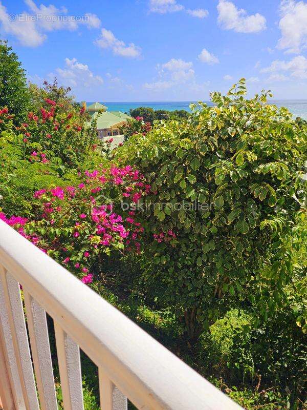 Appartement à SAINT-FRANCOIS