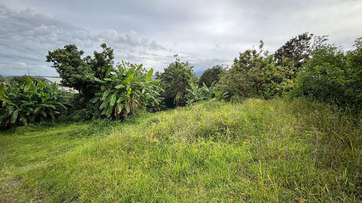 Terrain 450 m² à Saint-Andre  - photo 4