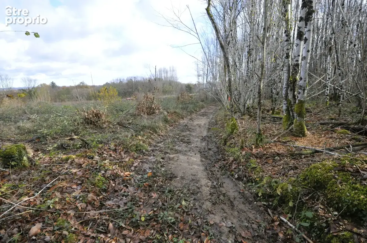 Terrain Agricole ou de Loisir d'un seul tenant, idéal pour chevaux ou animaux - photo 23