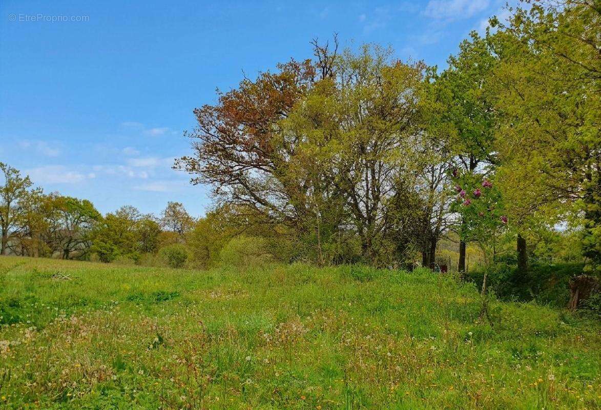 Terrain à CASTAIGNOS-SOUSLENS