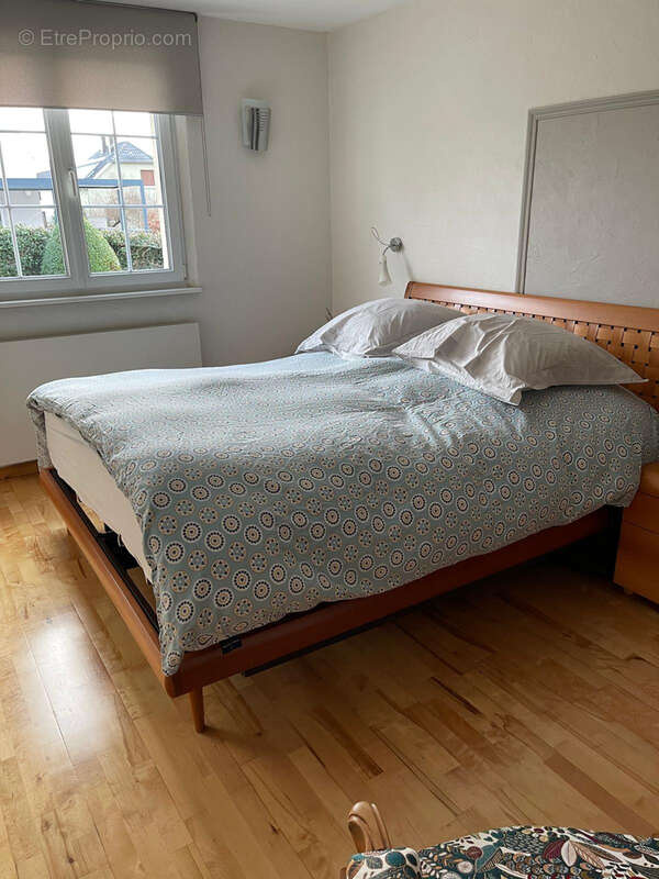 Pfastatt grande propriété familiale - photo 8
