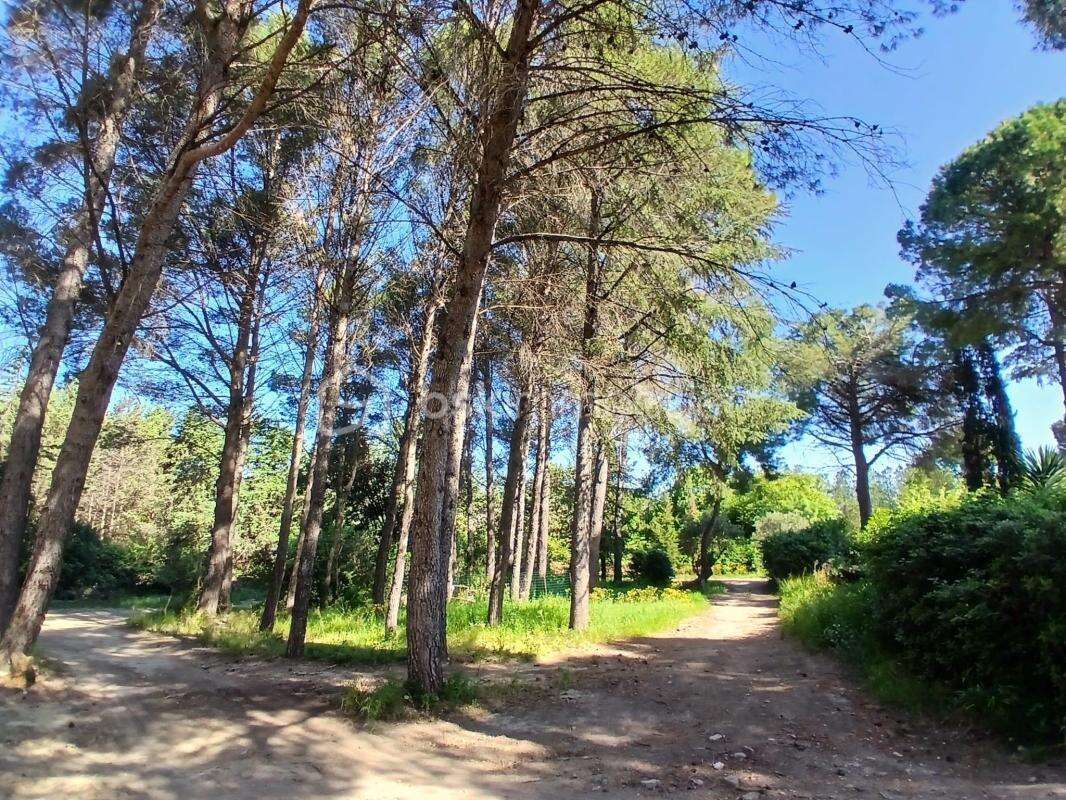 Rare : 2 maisons sur une seule parcelle à CLERMONT-L'HERAULT - photo 4