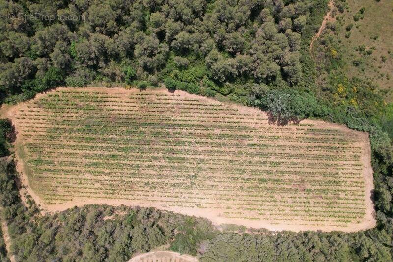 Commerce à CREISSAN