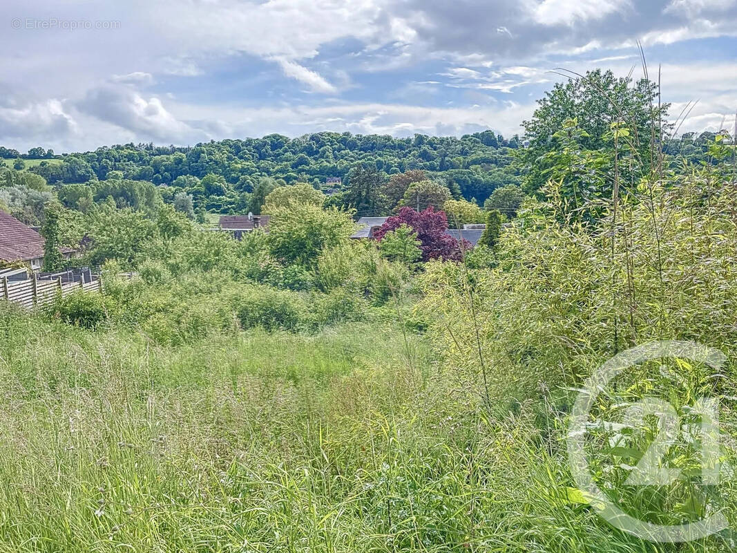 Terrain à TALMONTIERS