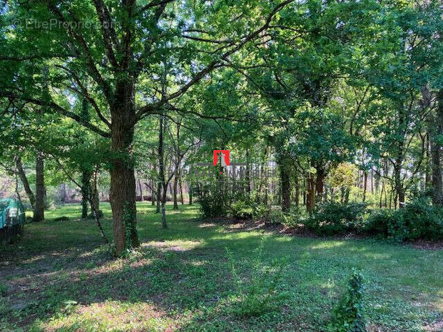 Maison à SAINT-ANDRE-DE-CUBZAC