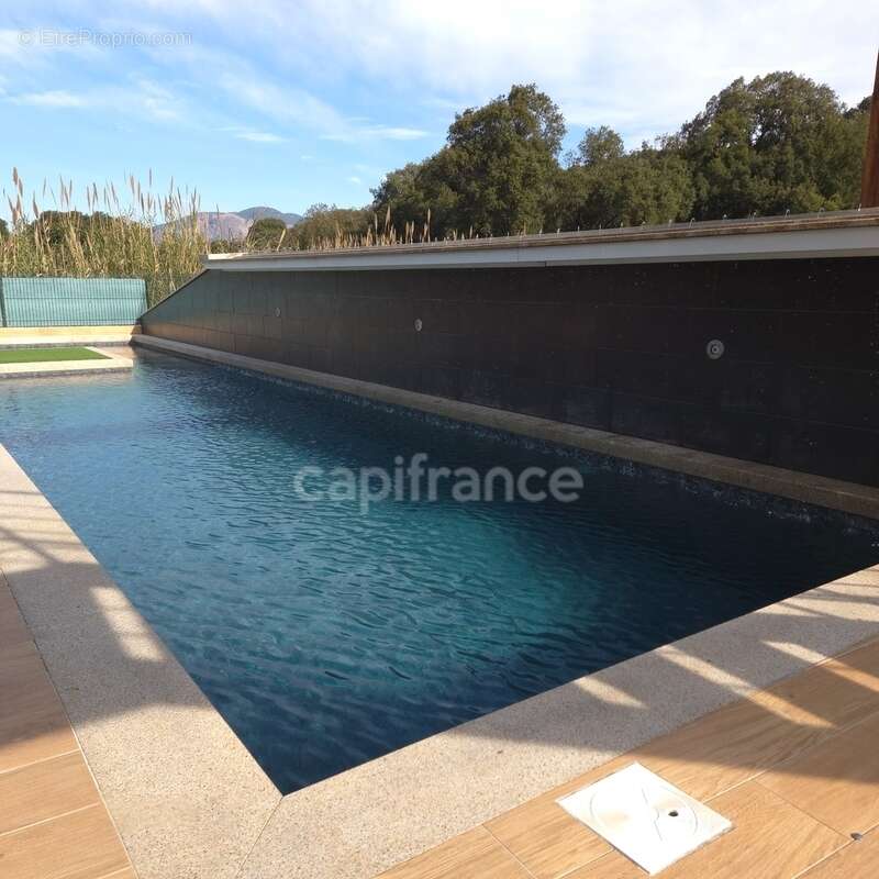 BASTELICACCIA (Corse du sud) proche AJACCIO: Villa de 360m2 avec  piscine et jardin paysager - photo 4