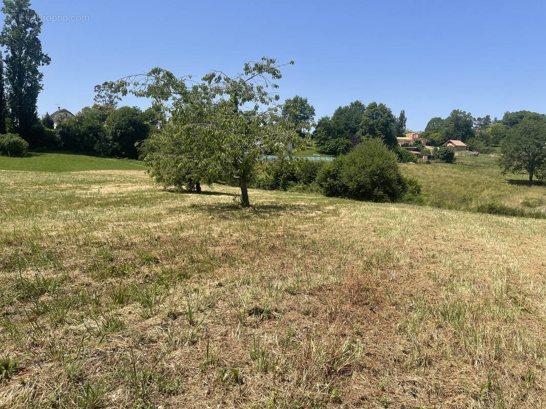 Terrain à SALIES-DE-BEARN