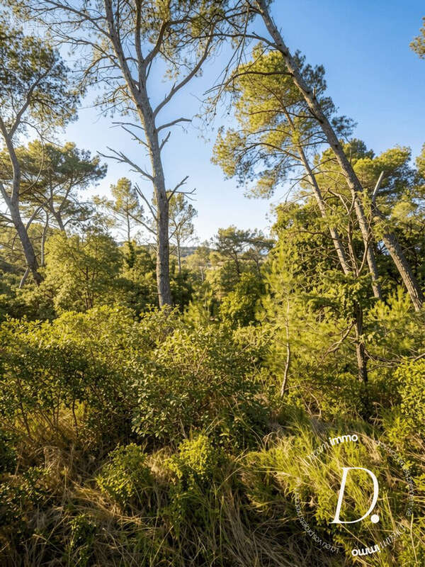 Terrain à SAINT-GILLES