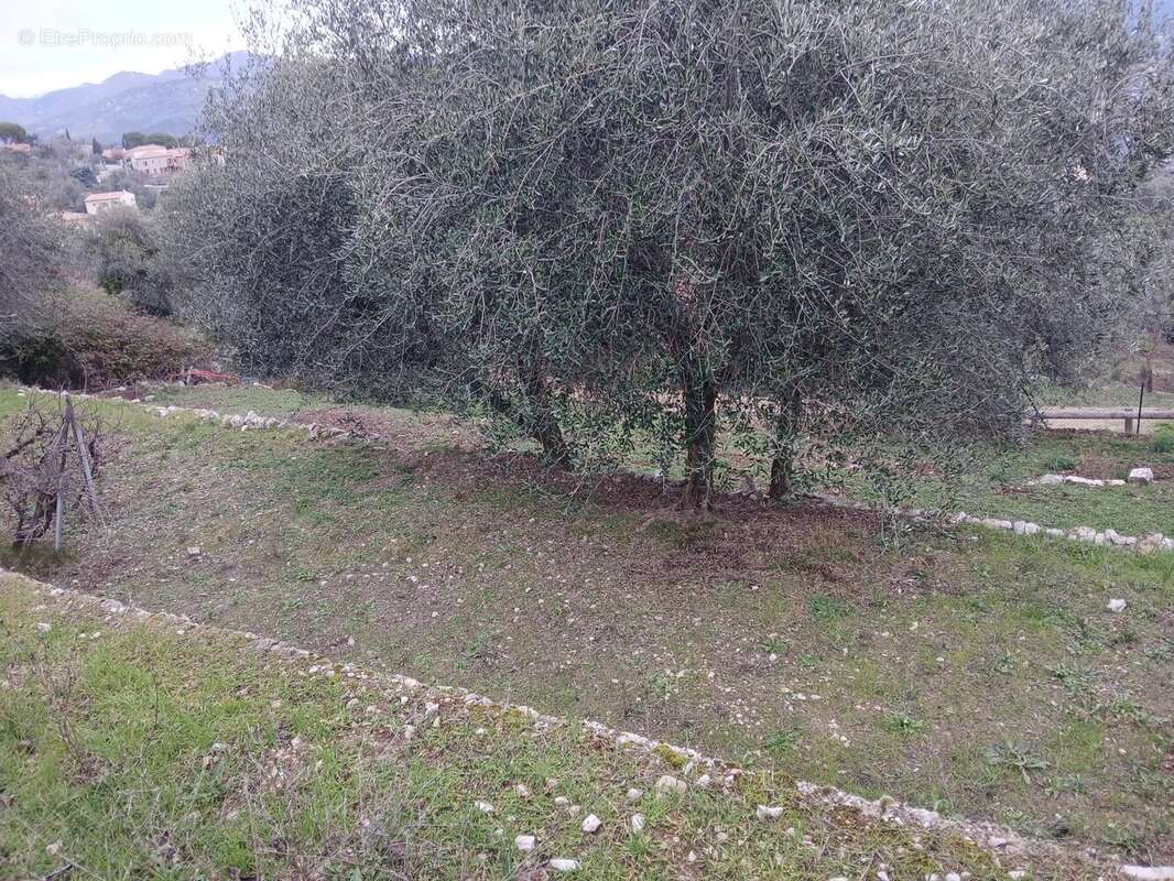 Terrain à CHATEAUNEUF-VILLEVIEILLE