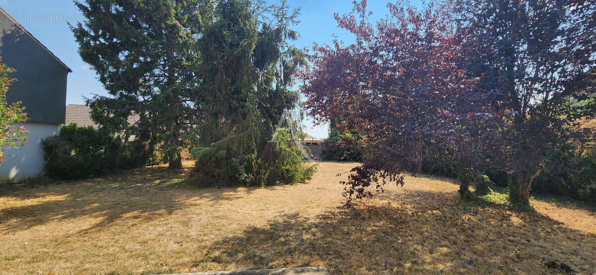 Vivonne - maison - sous sol - jardin - photo 12