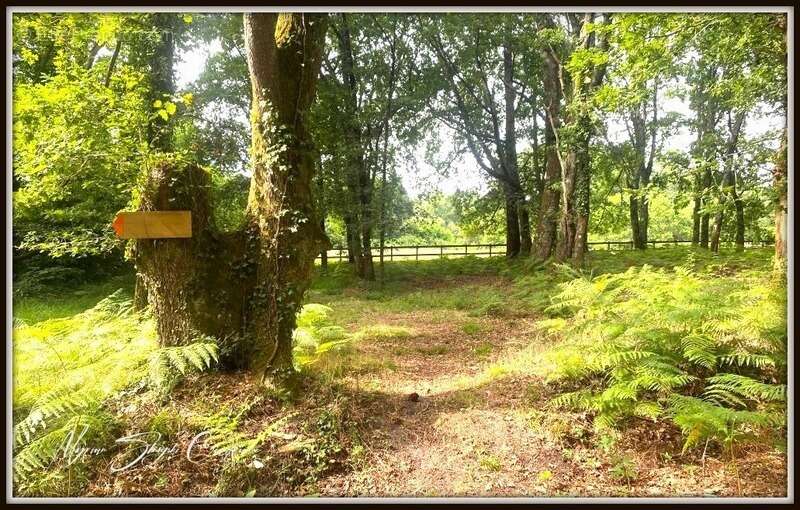 Maison à PARENTIS-EN-BORN