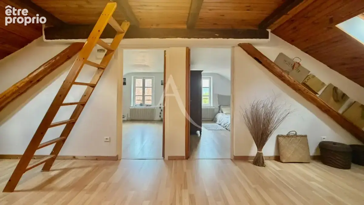 Remiremont : maison lumineuse, 4 chambres, terrasses et jardin - photo 18