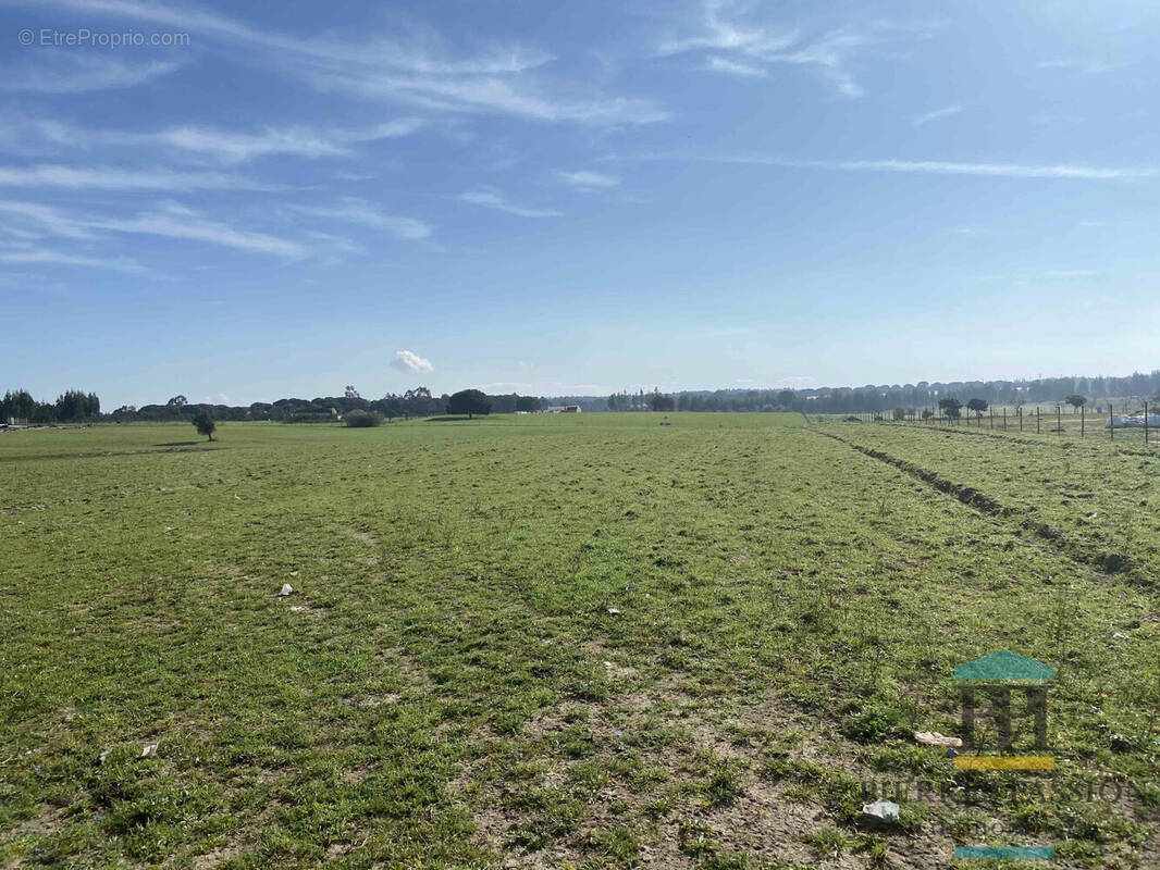 Terrain à SAINT-PIERRE-D&#039;AURILLAC