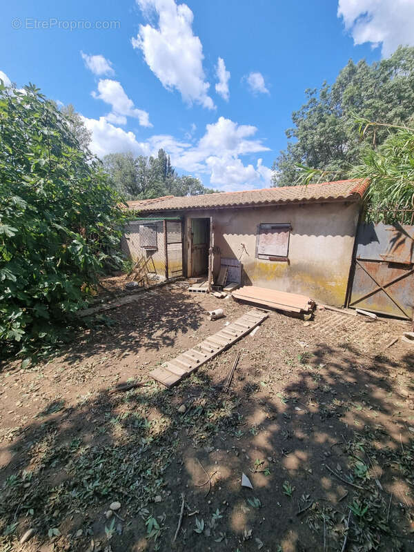 Mas à raphele - photo 22