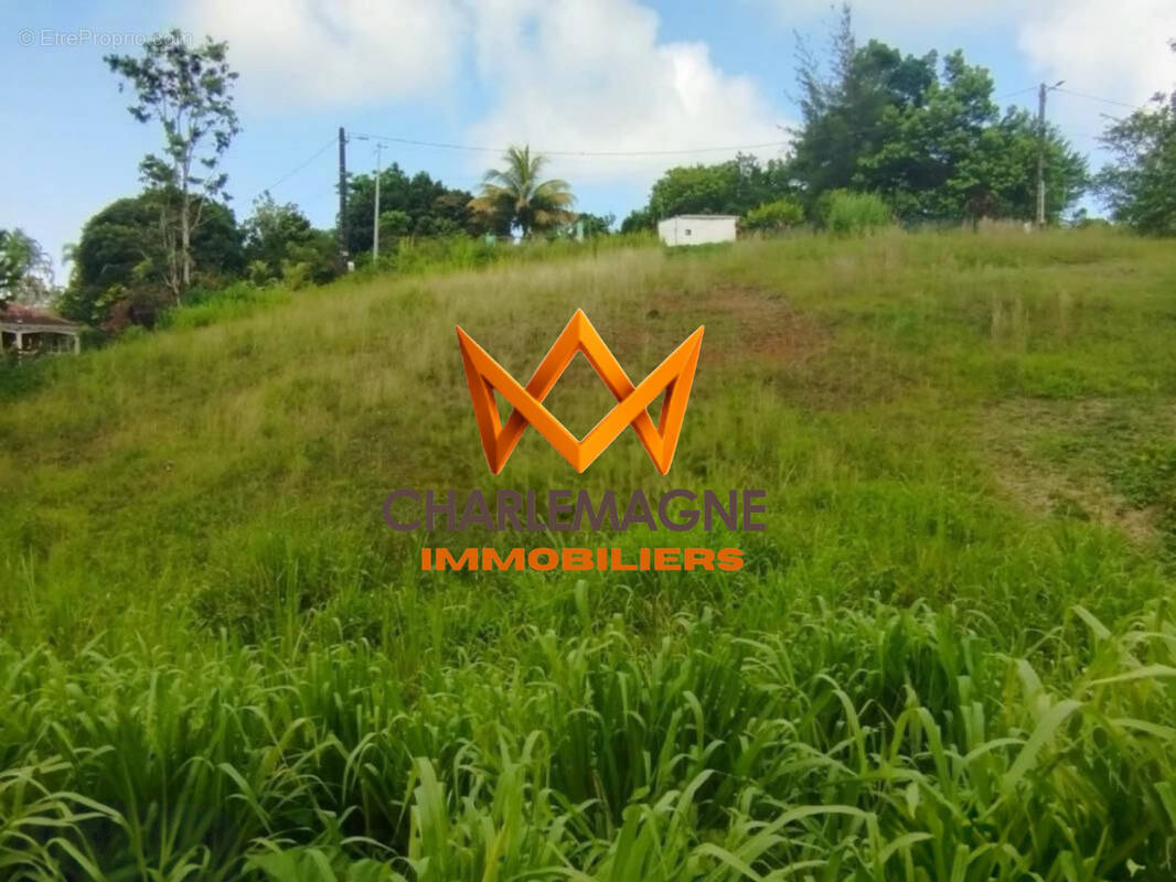 Terrain à PETIT-BOURG