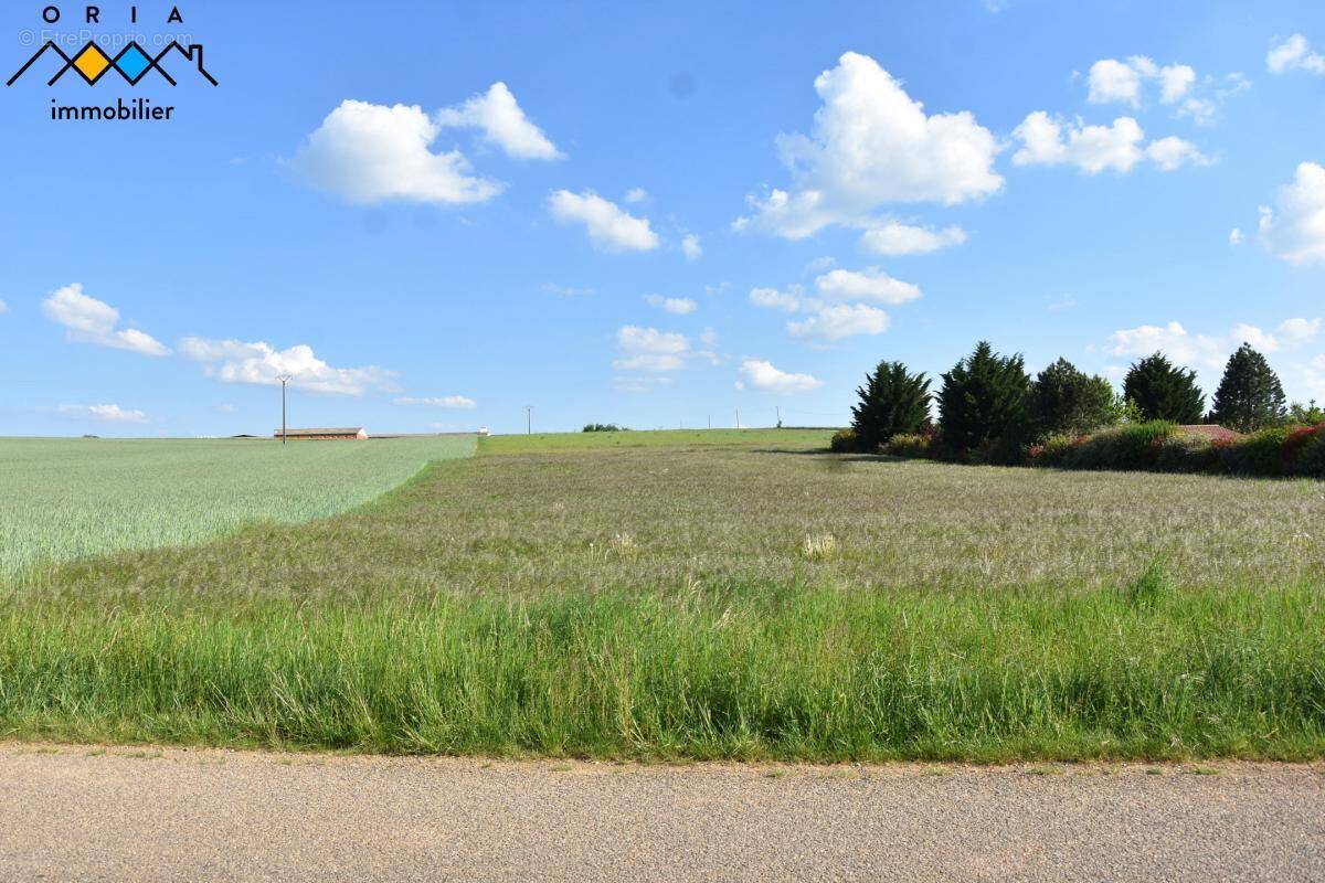 Terrain à SEICHEPREY