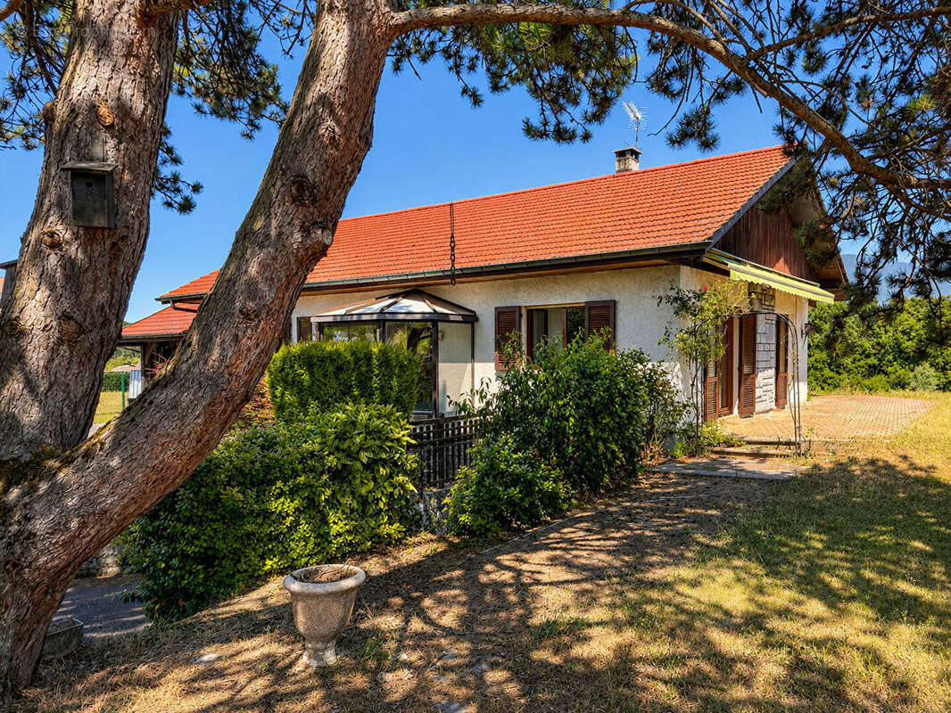 Maison individuelle à vendre 106 m², 3 chambres, sous-sol complet et terrain arboré de 2 000 m² - photo 4