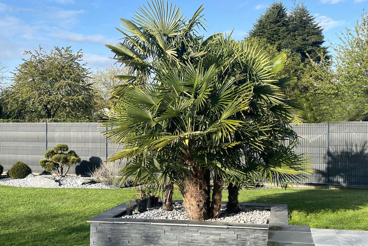 Maison à SOUFFLENHEIM