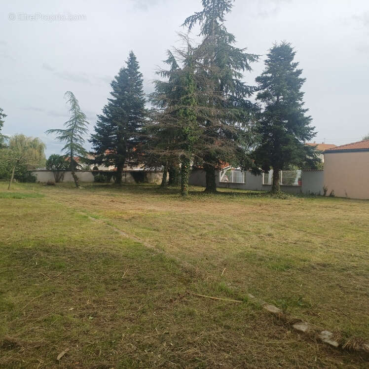 Terrain à SAVIGNEUX