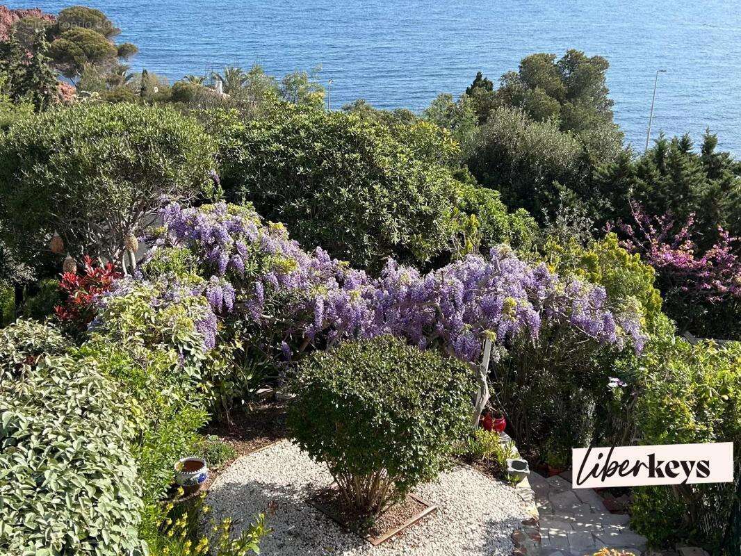 Maison à SAINT-RAPHAEL