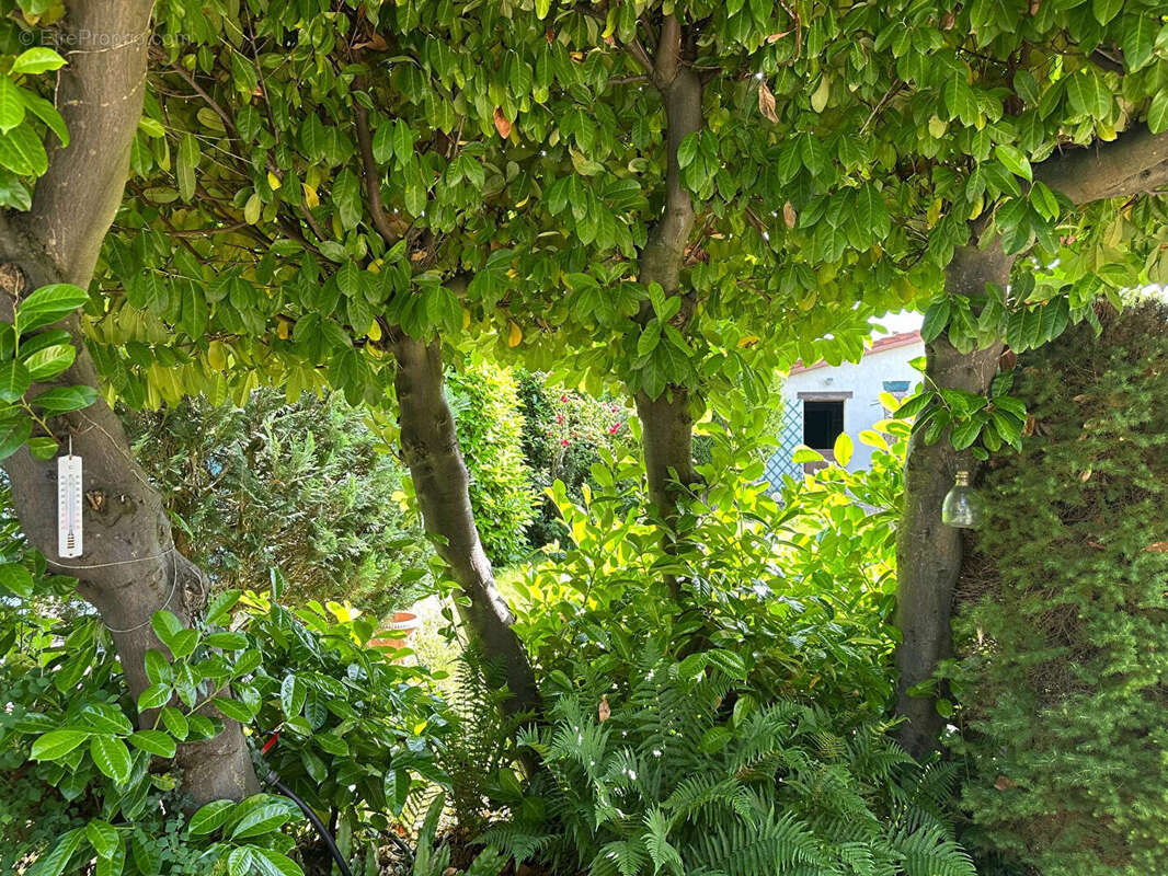 Maison à LE MESNIL-LE-ROI