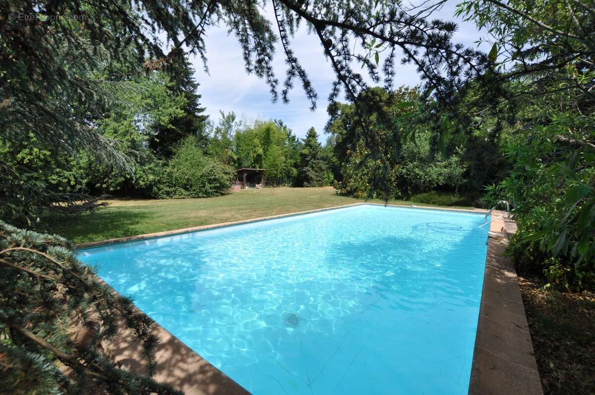 Maison de campagne dans parc arboré 3000 m². Moissieu sur Dolon 38270 - photo 10
