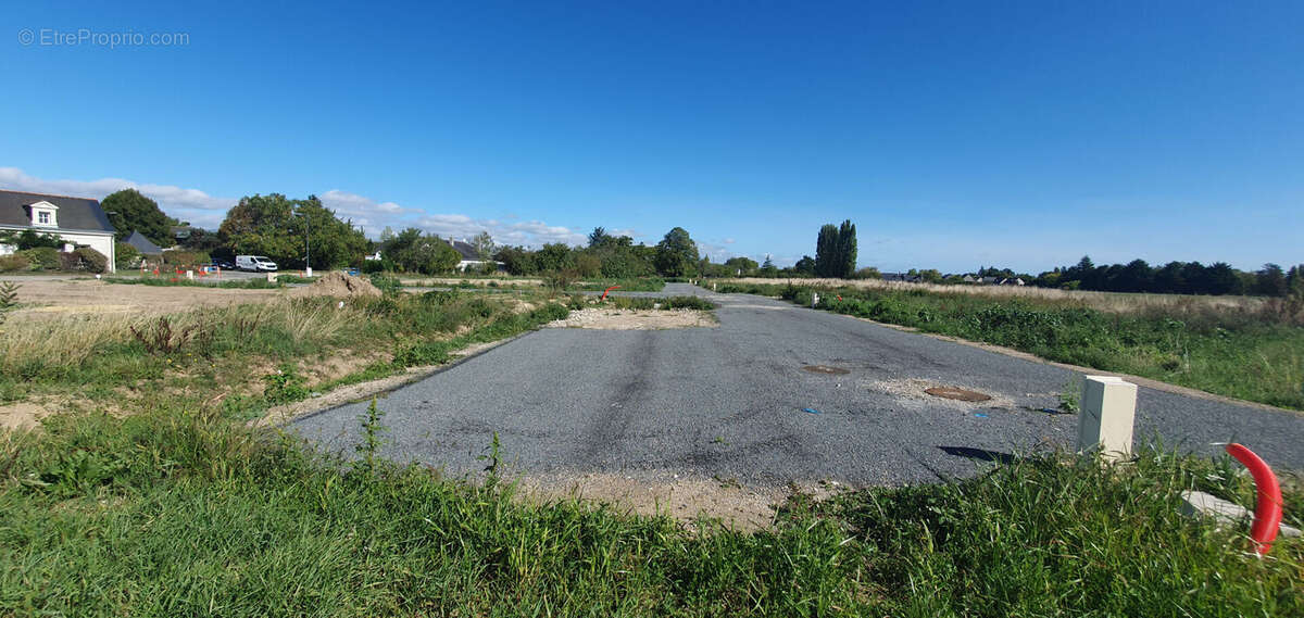 Terrain à LA MENITRE