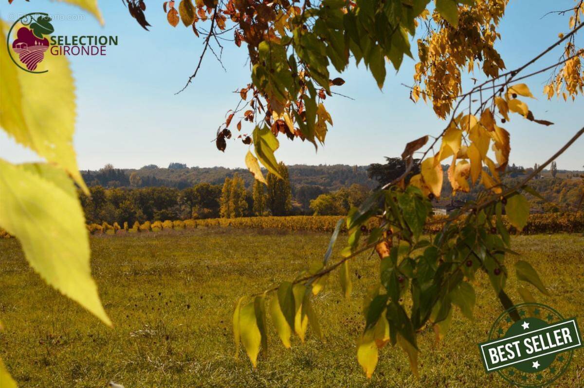 Terrain à PELLEGRUE