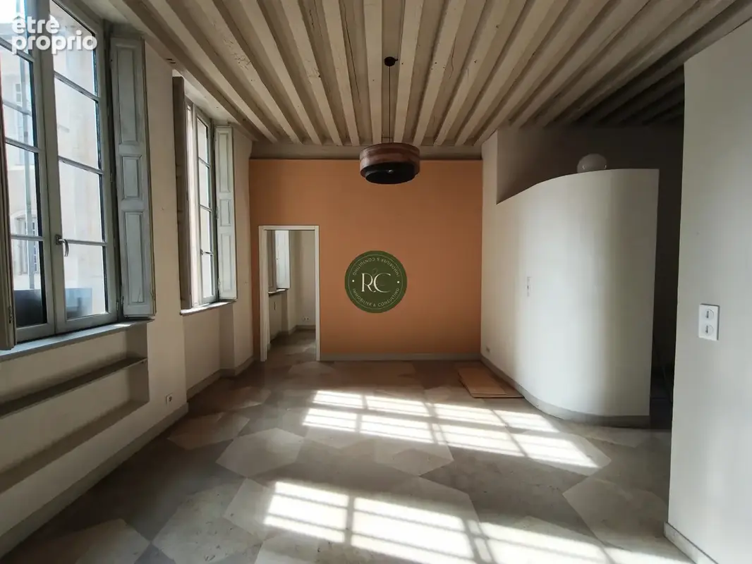 Dijon appartement hotel particulier antiquaires - photo 3