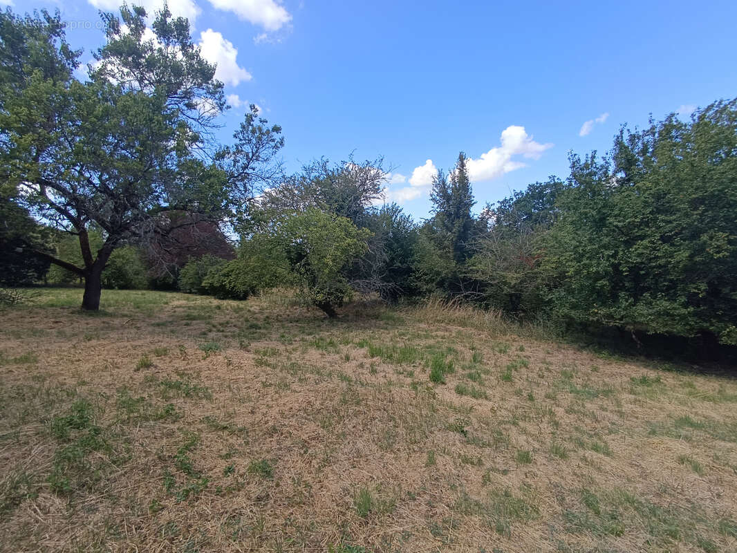 Terrain à TOULOUSE