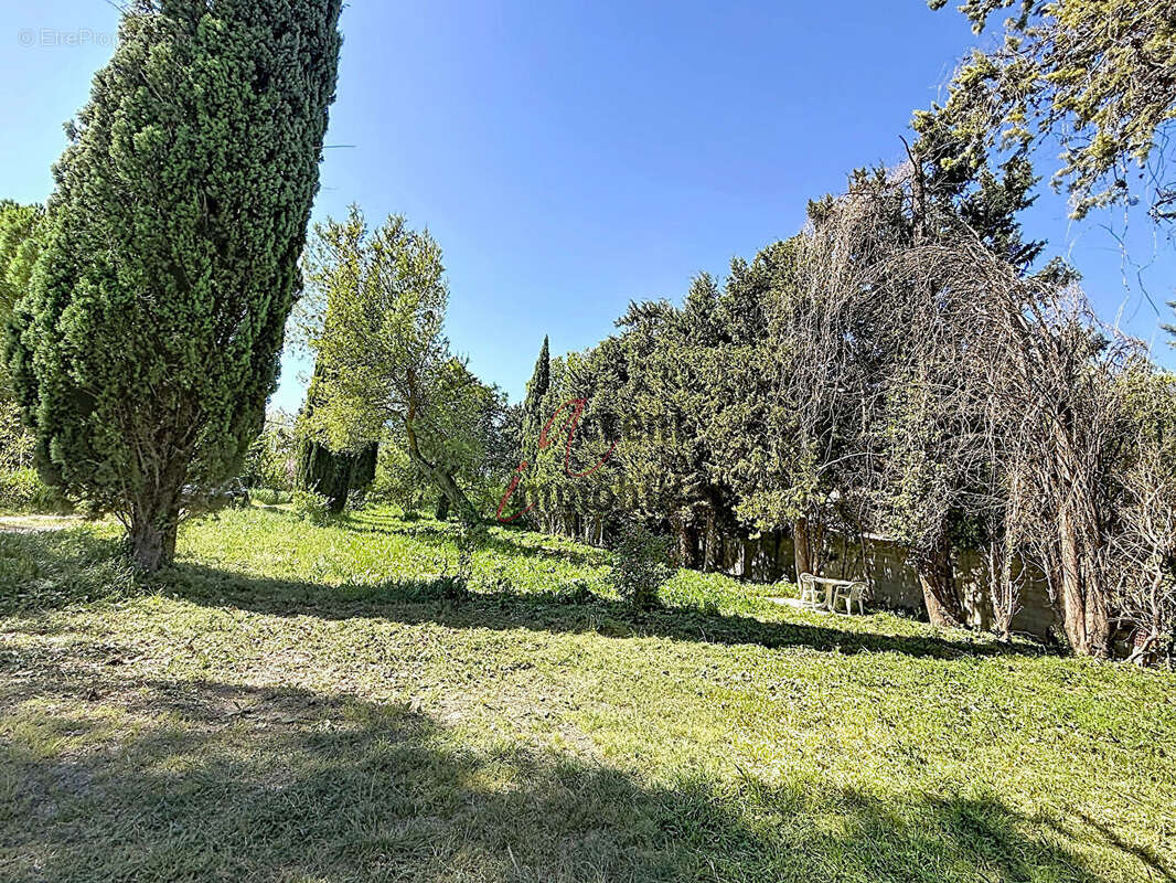Cabannes : Mas en campagne comprenant deux logements - photo 18