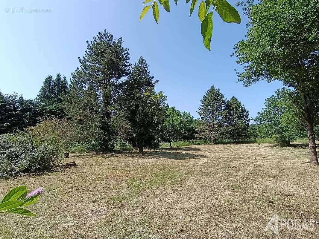 Maison à SAINT-AMAND