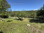 Terrain à LA ROQUE-D&#039;ANTHERON