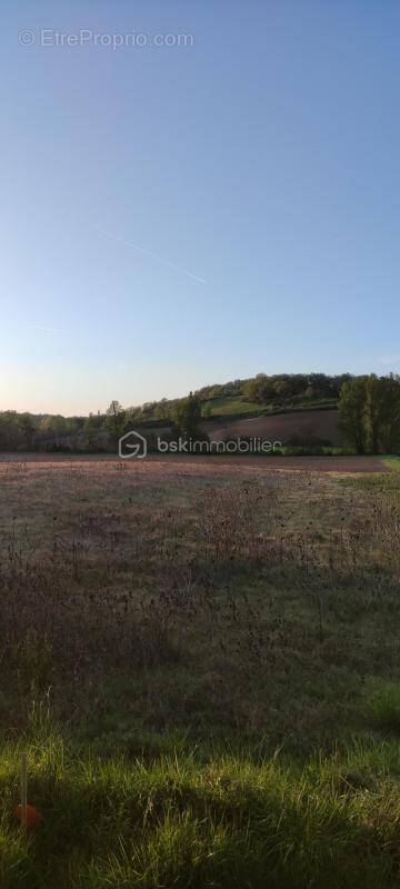 Terrain à MONTDURAUSSE