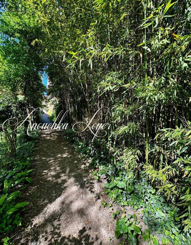 Photo 9 - Maison à SAINT-MACAIRE