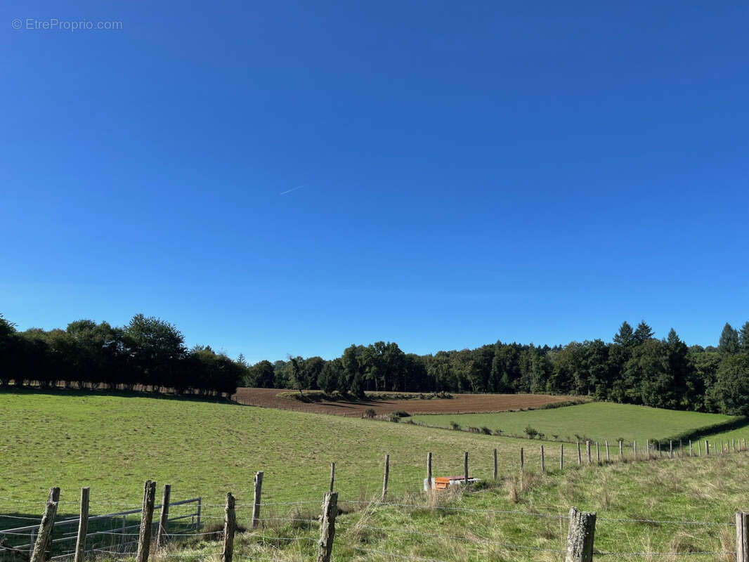 Maison à LA CROISILLE-SUR-BRIANCE