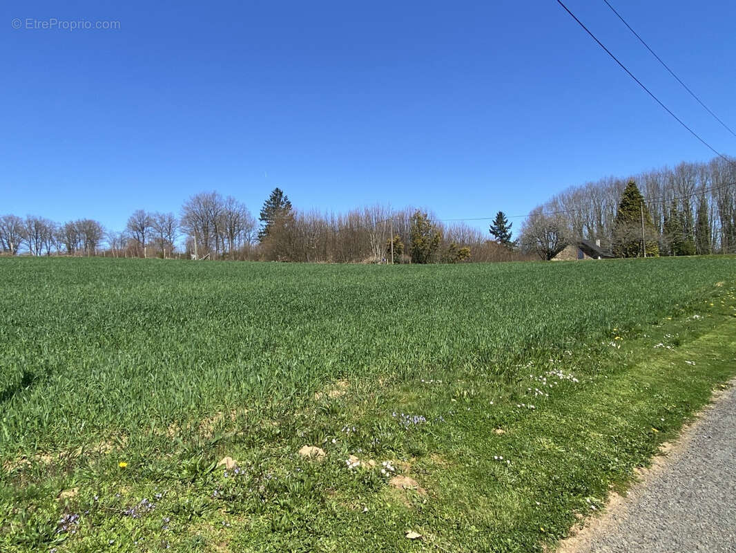 Terrain à SAINT-SORNIN-LAVOLPS