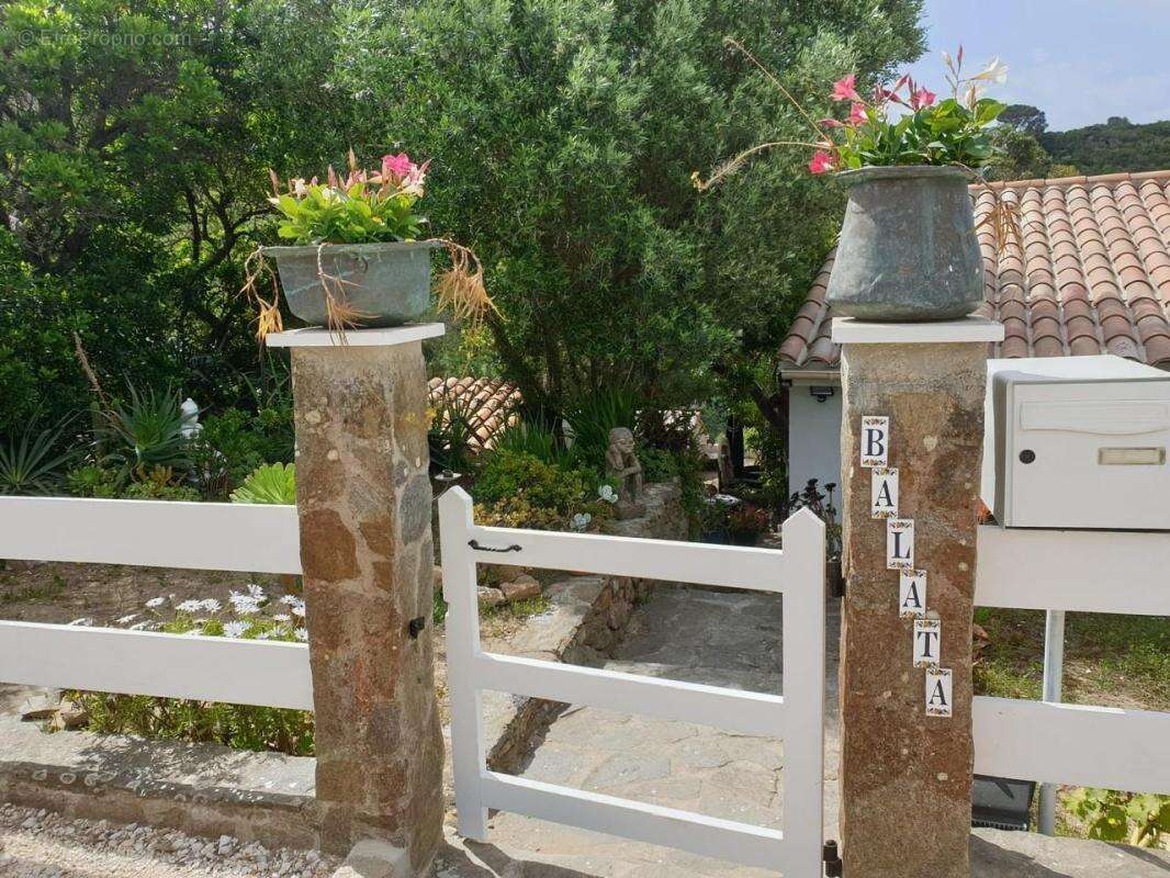 VILLA BALATA Île du Levant • Hyères Acquisition de la nue-propriété - photo 2