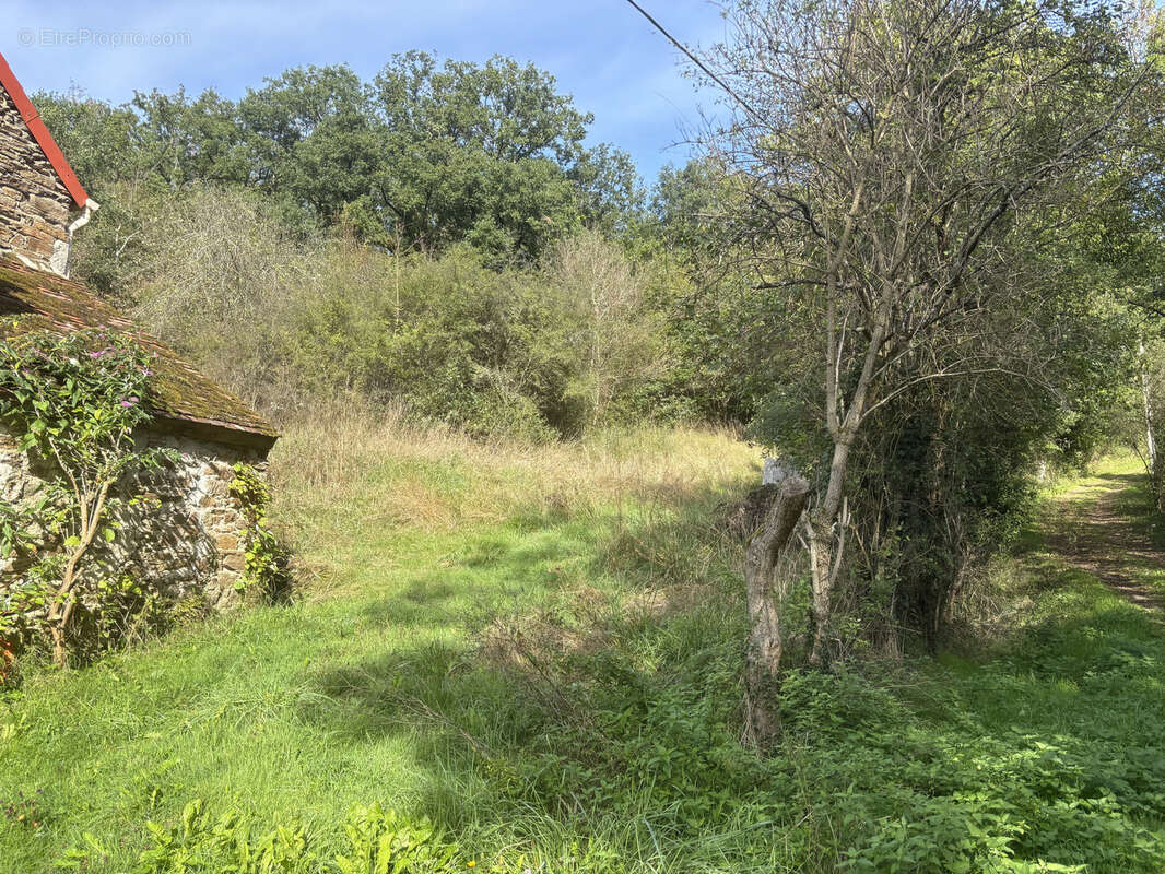 Maison à BELLENAVES