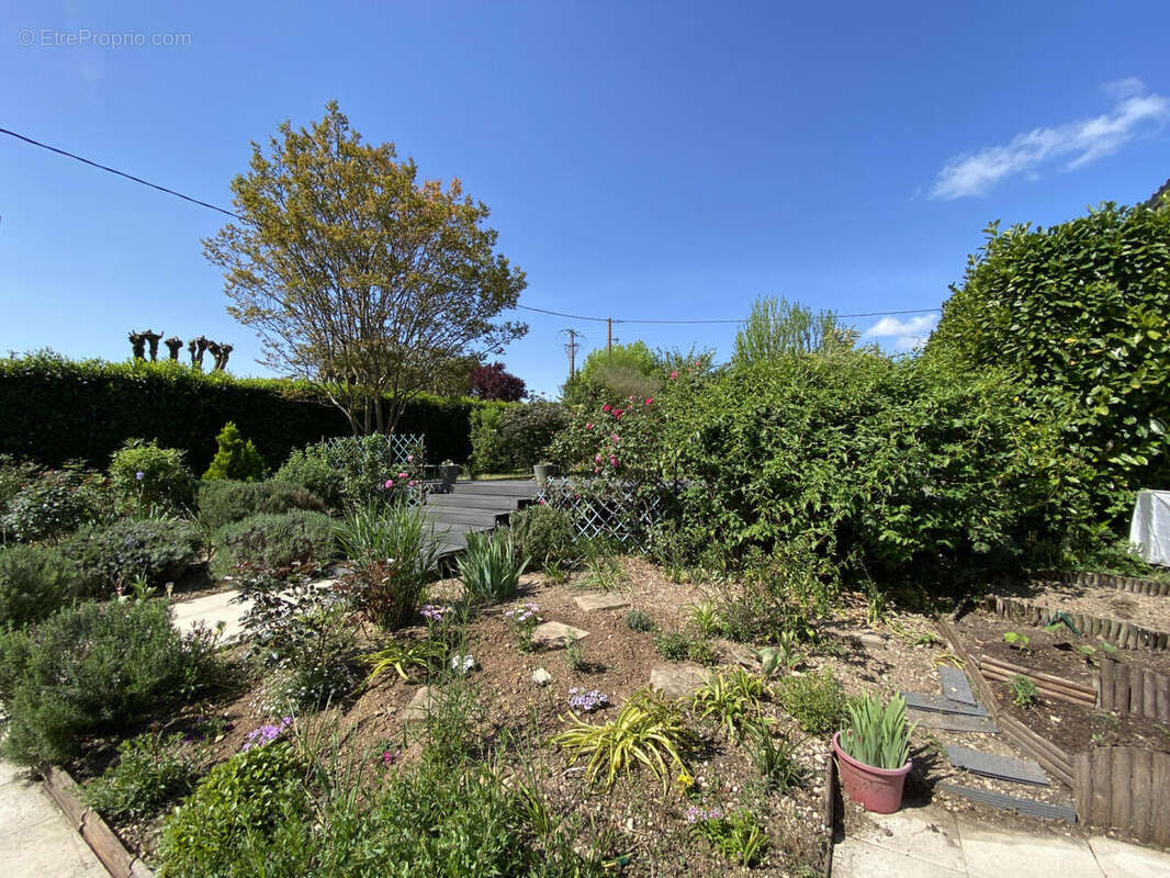 jardin - Maison à SAINT-ROMAIN
