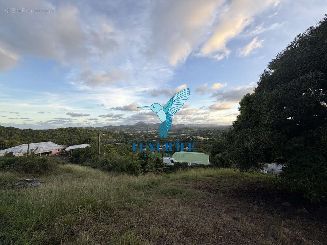 Terrain à LE FRANCOIS