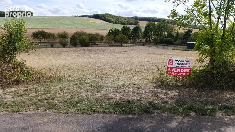 Terrain a batir de 3034 m2 - aix villemaur palis 10160 - photo 5