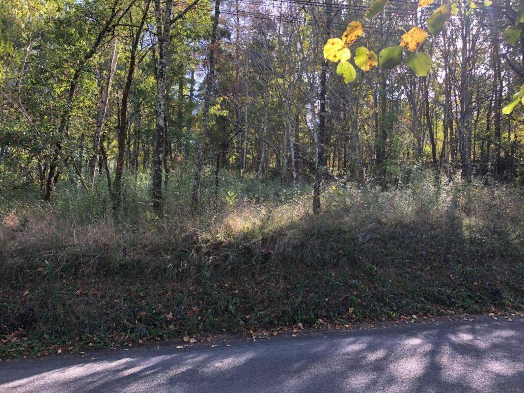 Terrain à LUZECH