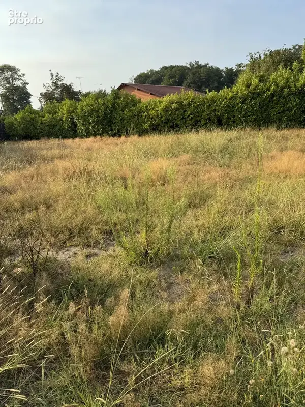 Terrain 530 m² à vendre à Saint-Paul-Les-Dax (40990) - photo 4