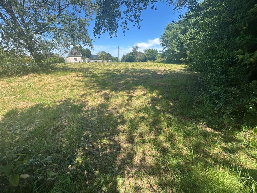 Maison à LA NEUVILLE-CHANT-D&amp;#039;OISEL